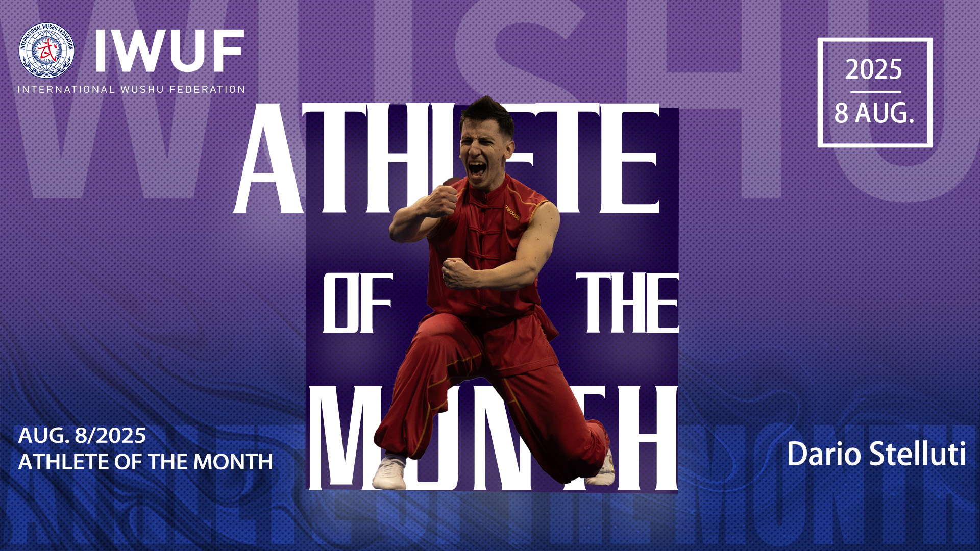Wushu image 2